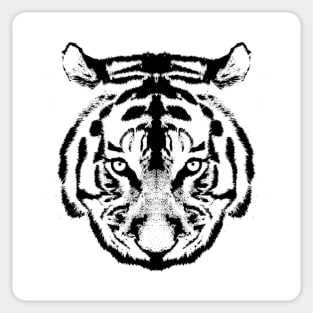 Tiger Sticker